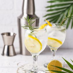 Gin tonic cocktail with ice and lemon